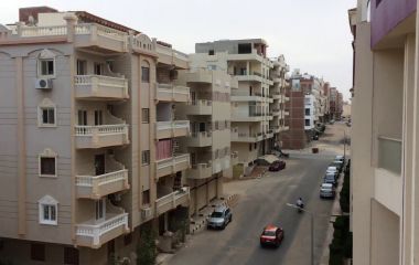 В Хургаде открылся отель, где туристы могут проживать со своими домашними животными